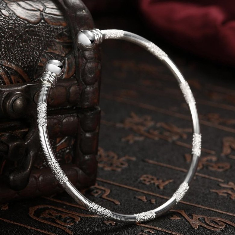 Wholesale Trendy Silver Round Bangle&Cuff TGSPBL159 0