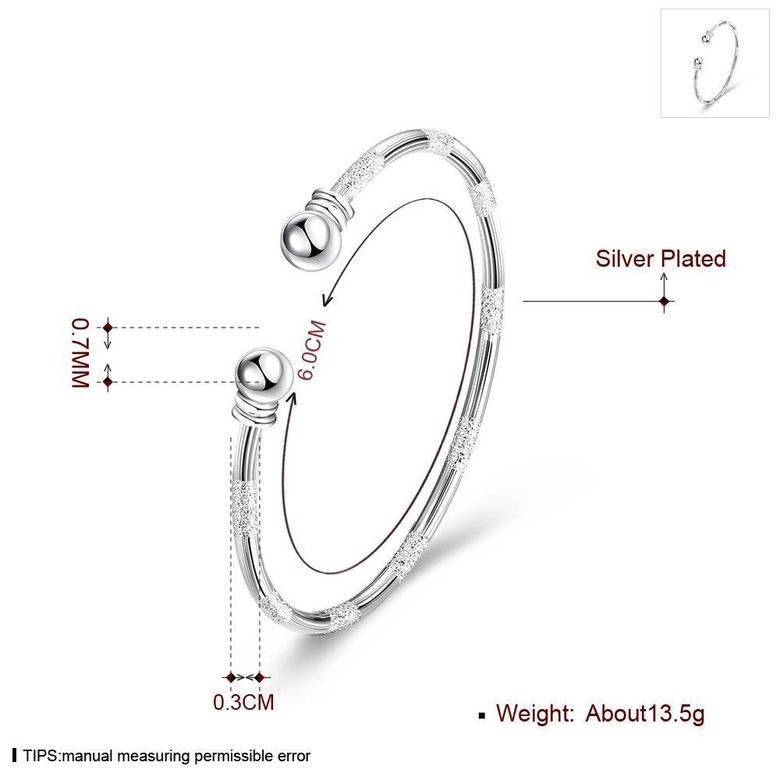 Wholesale Trendy Silver Round Bangle&Cuff TGSPBL159 2