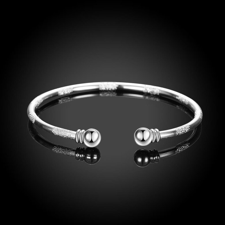 Wholesale Trendy Silver Round Bangle&Cuff TGSPBL159 3