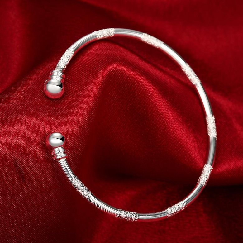 Wholesale Trendy Silver Round Bangle&Cuff TGSPBL159 4