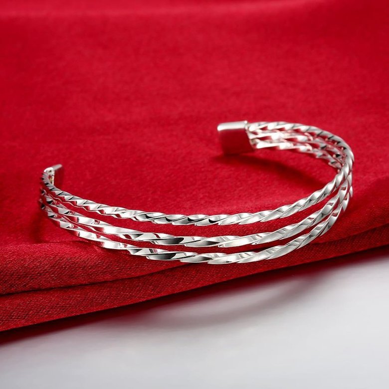 Wholesale Trendy Silver Round Bangle&Cuff TGSPBL011 1