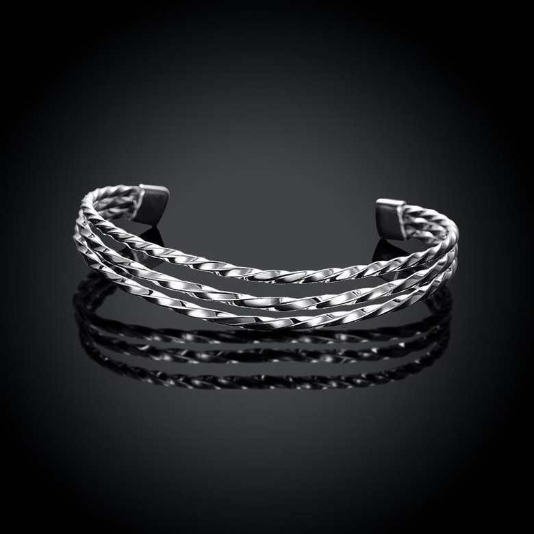 Wholesale Trendy Silver Round Bangle&Cuff TGSPBL011 2