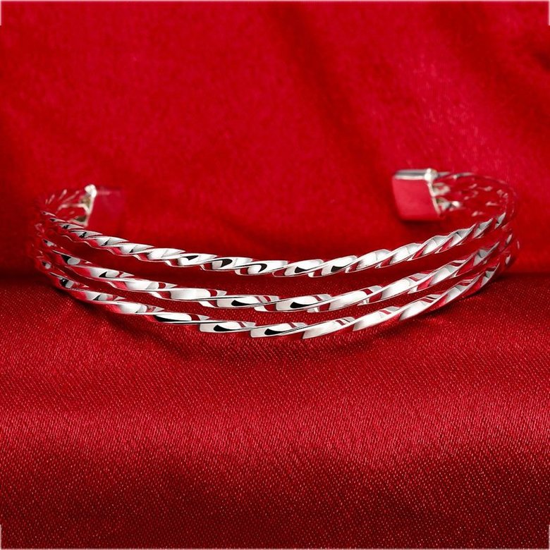 Wholesale Trendy Silver Round Bangle&Cuff TGSPBL011 3