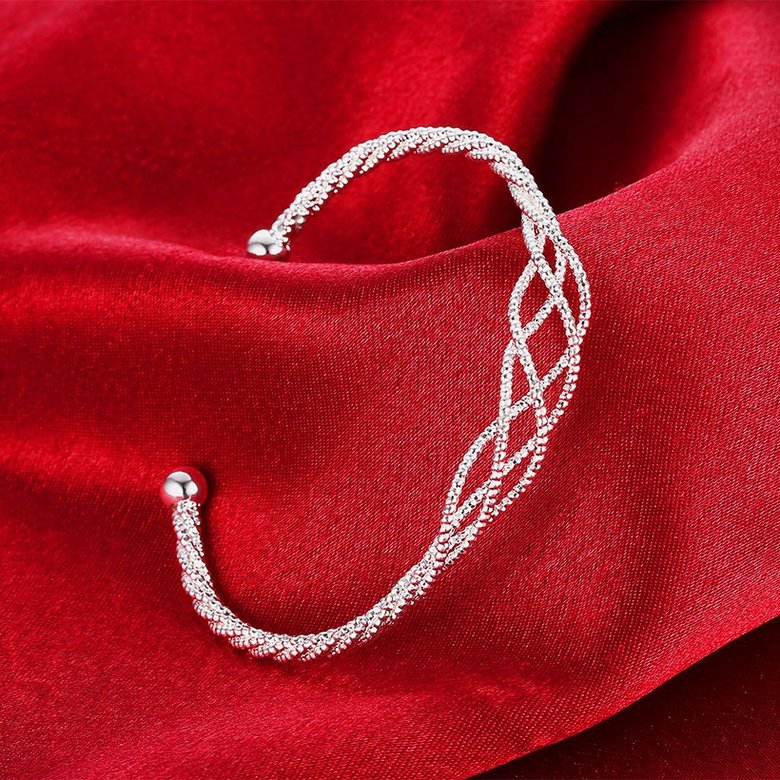 Wholesale Trendy Silver Round Bangle&Cuff TGSPBL041 2