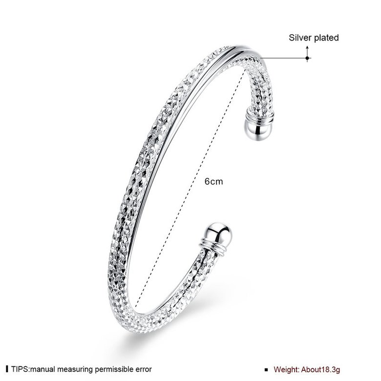 Wholesale Trendy Silver Round Bangle&Cuff TGSPBL043 0