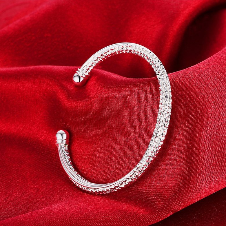 Wholesale Trendy Silver Round Bangle&Cuff TGSPBL043 2