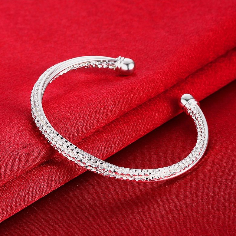 Wholesale Trendy Silver Round Bangle&Cuff TGSPBL043 3