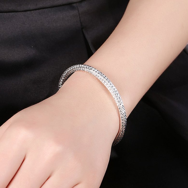 Wholesale Trendy Silver Round Bangle&Cuff TGSPBL043 4