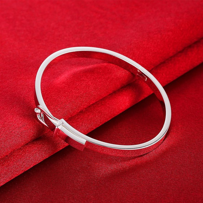 Wholesale Trendy Silver Round Bangle&Cuff TGSPBL044 3