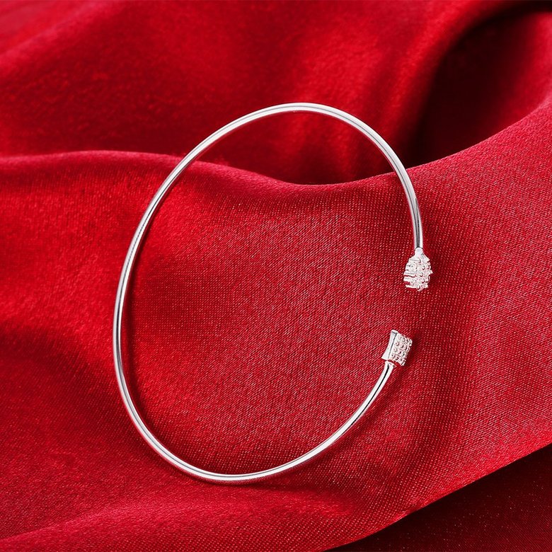 Wholesale Trendy Silver Round White CZ Bangle&Cuff TGSPBL056 2