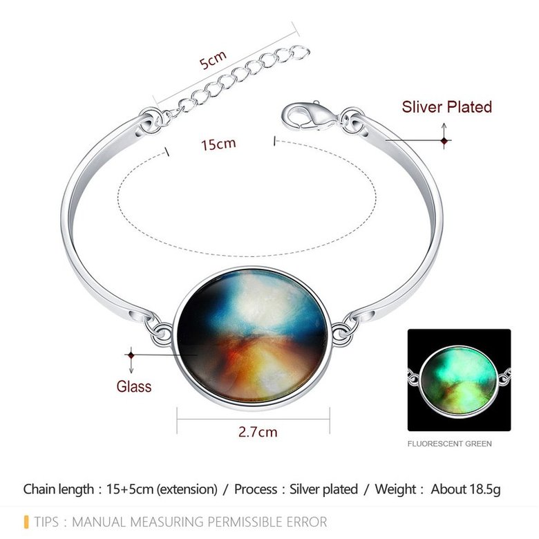 Wholesale Romantic Silver Round Glass Bracelet TGLB057 2