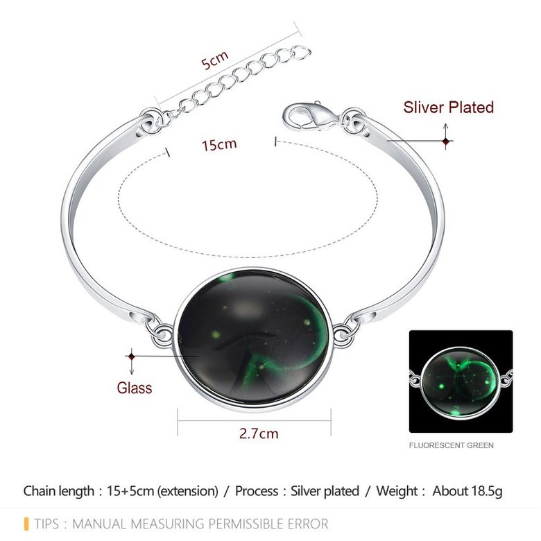 Wholesale Romantic Silver Round Glass Bracelet TGLB071 1