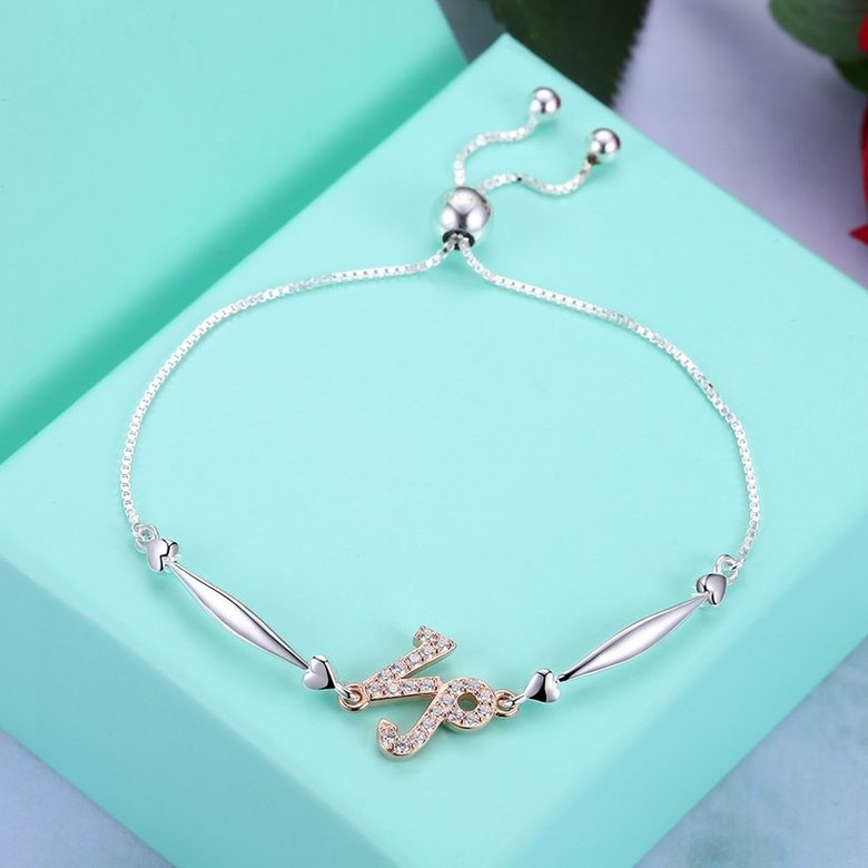 Wholesale Capricorn Constellations Real 925 Sterling Silver CZ Bracelet TGSLB045 2