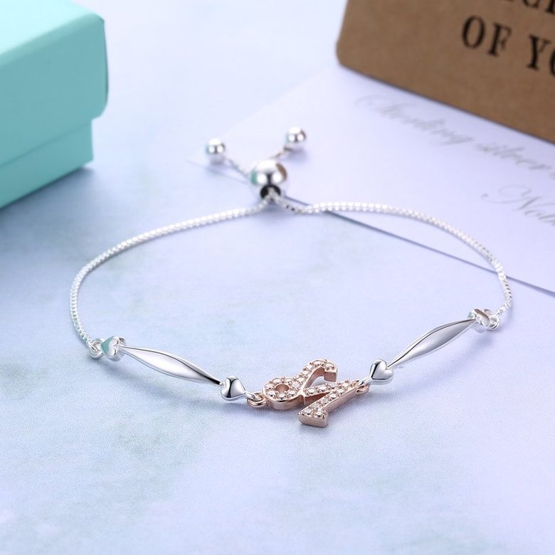 Wholesale Capricorn Constellations Real 925 Sterling Silver CZ Bracelet TGSLB045 3