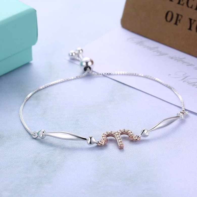 Wholesale Aries Constellations Real 925 Sterling Silver CZ Bracelet TGSLB051 3