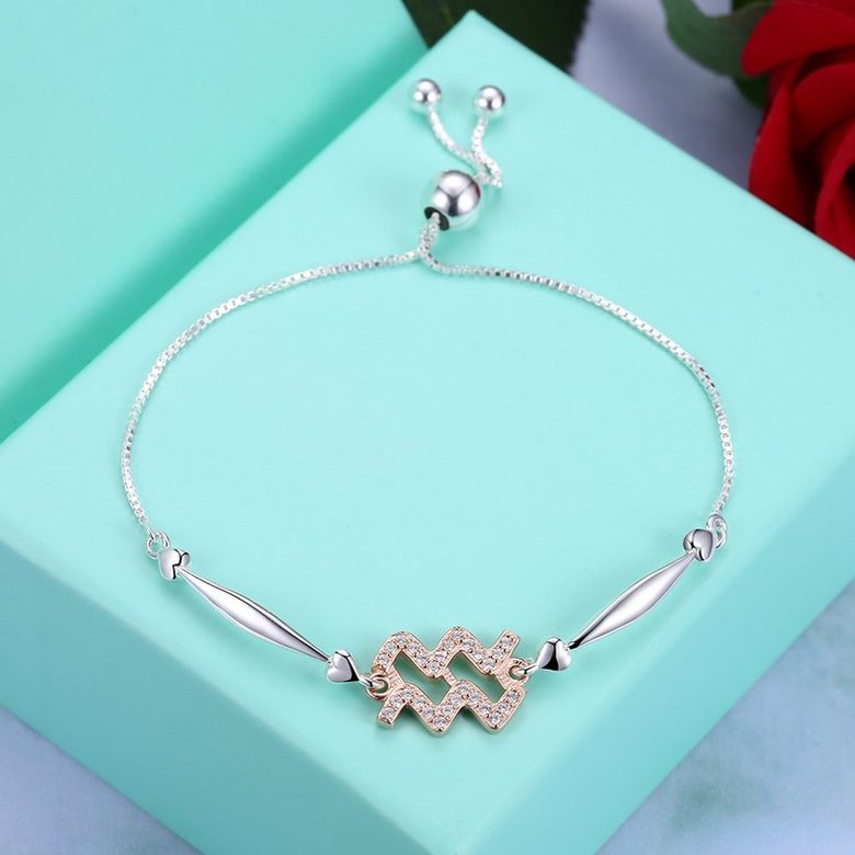 Wholesale Aquarius Constellations Real 925 Sterling Silver CZ Bracelet TGSLB054 2