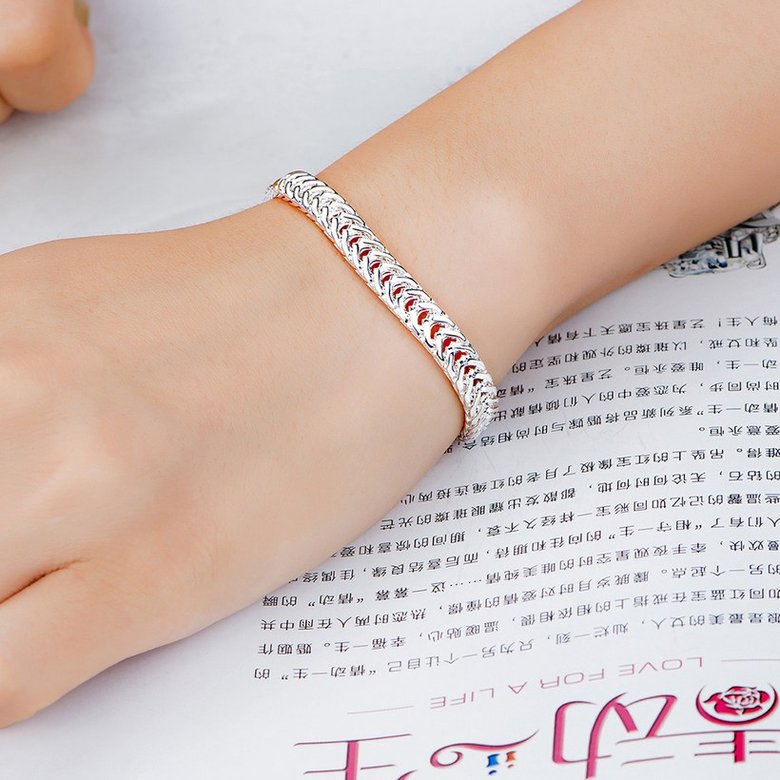 Wholesale Fashion Flat snake bone Silver Bracelet TGSPB291 2