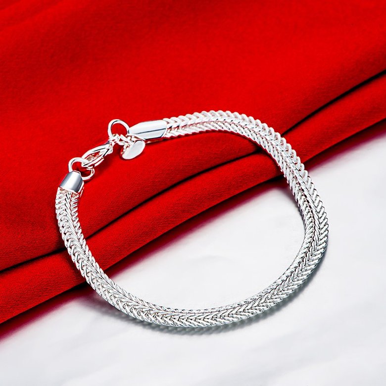 Wholesale Fashion Flat snake bone Silver Bracelet TGSPB299 1