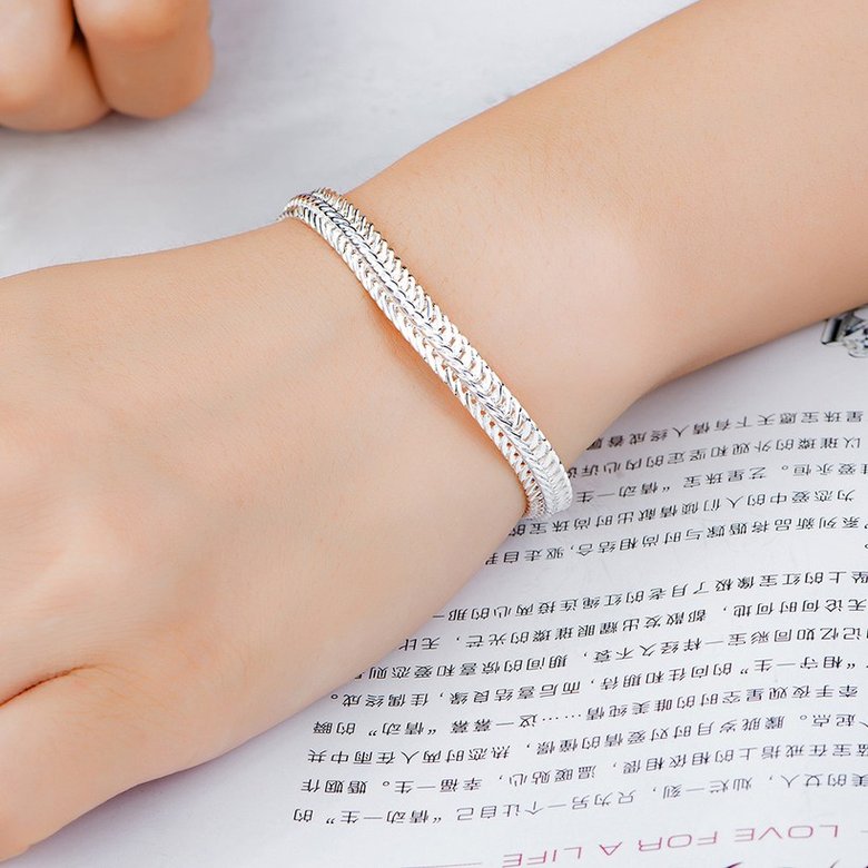 Wholesale Fashion Flat snake bone Silver Bracelet TGSPB299 2