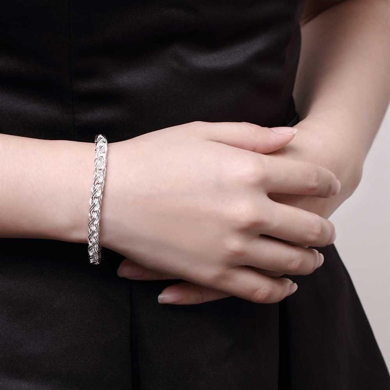 Wholesale Classic Silver Round Bracelet TGSPB421 3