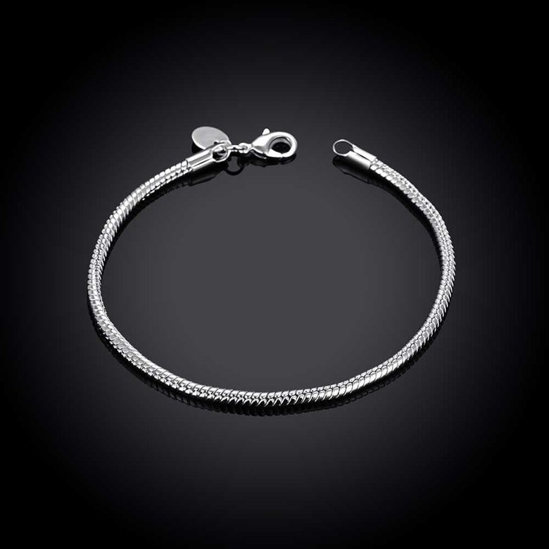 Wholesale Romantic Silver Round Bracelet TGSPB134 1