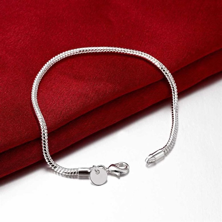 Wholesale Romantic Silver Round Bracelet TGSPB134 2