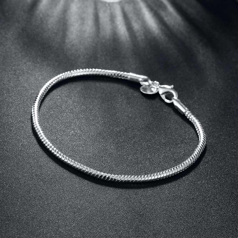 Wholesale Romantic Silver Round Bracelet TGSPB134 3