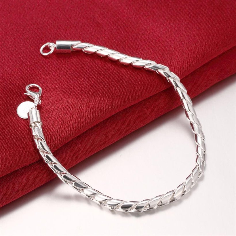 Wholesale Romantic Silver Round Bracelet TGSPB149 2