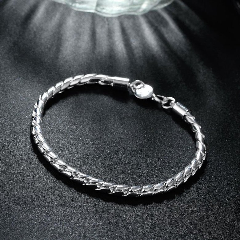 Wholesale Romantic Silver Round Bracelet TGSPB149 3