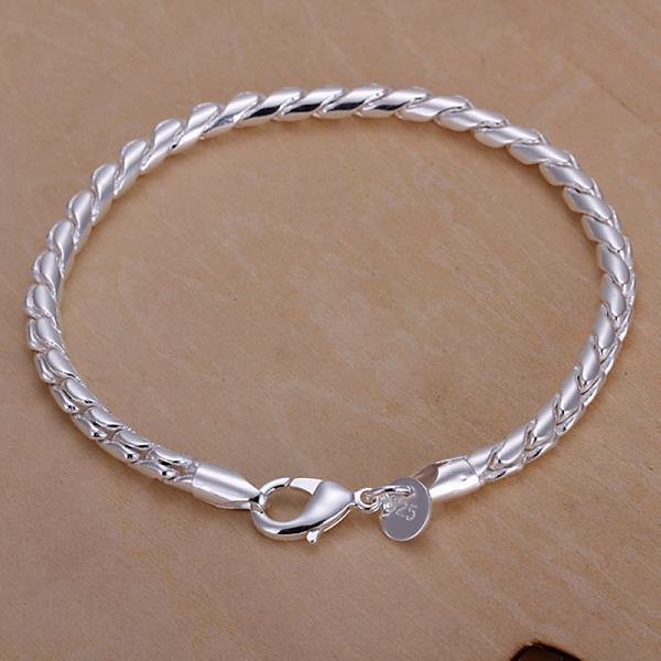 Wholesale Romantic Silver Round Bracelet TGSPB149 5