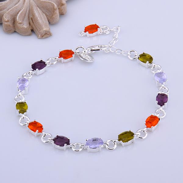 Wholesale Classic Colorful Stones clasp chain Silver Bracelet TGSPB013 2