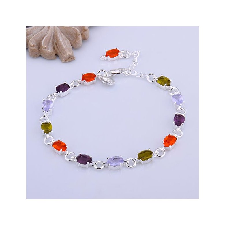 Wholesale Classic Colorful Stones clasp chain Silver Bracelet TGSPB013 2