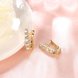 Wholesale Trendy Cute Small Crystal Earrings for Woman 24K gold plated Hoop Earrings U Shape Horseshoe Earring TGCLE050 2 small