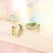 Wholesale Fashion elegant Small Crystal Earrings for Woman 24K gold plated Hoop Earrings U Shape Horseshoe Earring TGCLE058 3 small