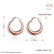 Wholesale Hot sale classical gold Thick big Hoop Earrings For Women New Fashion Female circle earrings Jewelry  TGCLE074 0 small