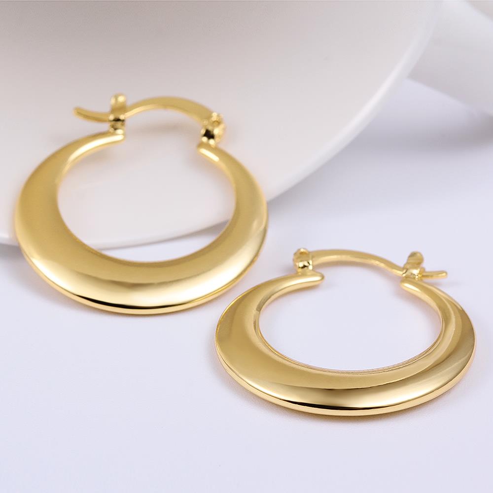 Wholesale Hot sale classical gold Thick big Hoop Earrings For Women New Fashion Female circle earrings Jewelry  TGCLE074 2