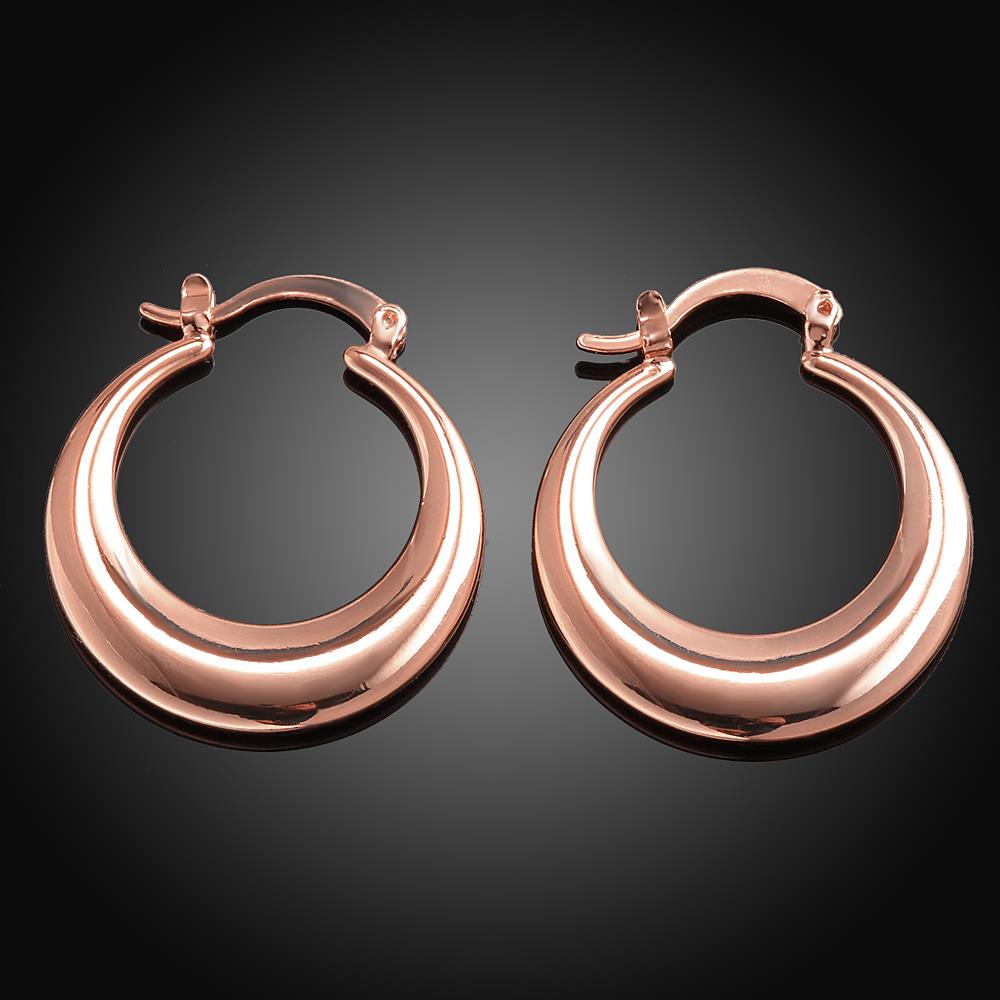 Wholesale Hot sale classical gold Thick big Hoop Earrings For Women New Fashion Female circle earrings Jewelry  TGCLE074 5
