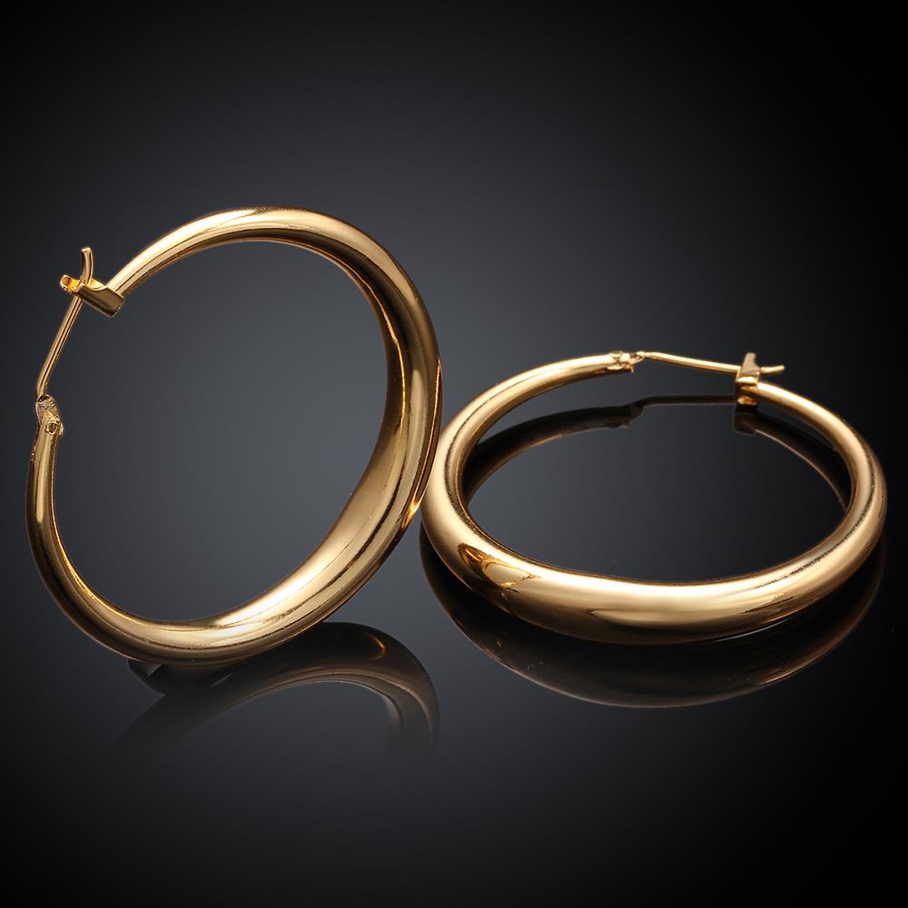 Wholesale Hot sale gold Thick big Hoop Earrings For Women New Fashion Female circle earrings Jewelry  TGCLE076 1