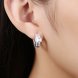 Wholesale Temperament delicate Silver color zircon earring Pave big square crystal Circle Hoop Earrings For Women Girls Party Jewelry TGCLE139 4 small