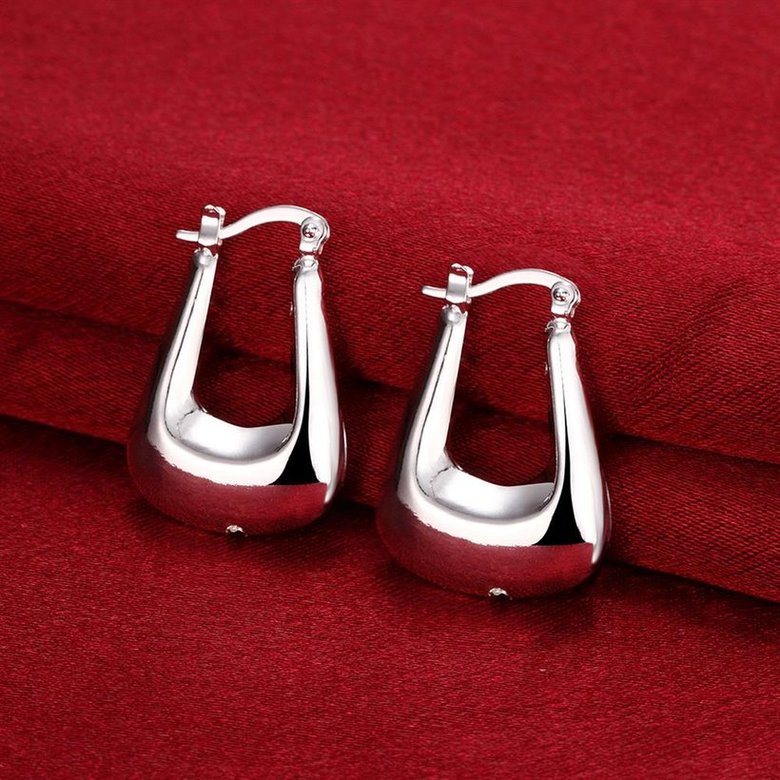 Wholesale Trendy unique Silver Smooth Square Grid Earrings Charm For Women Jewelry Fashion  Engagement Party Gift TGCLE091 3