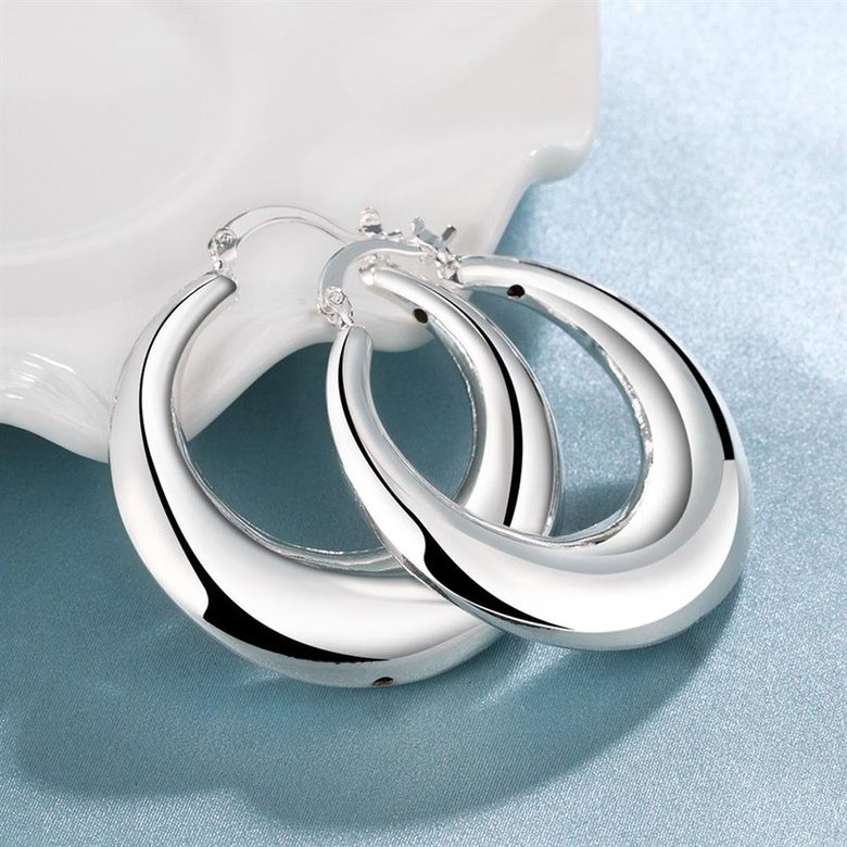 Wholesale  Hot sale Silver Earrings For Womem New Arrival Fashion Party Accessories  high quality circle Ear Studs    TGCLE109 2