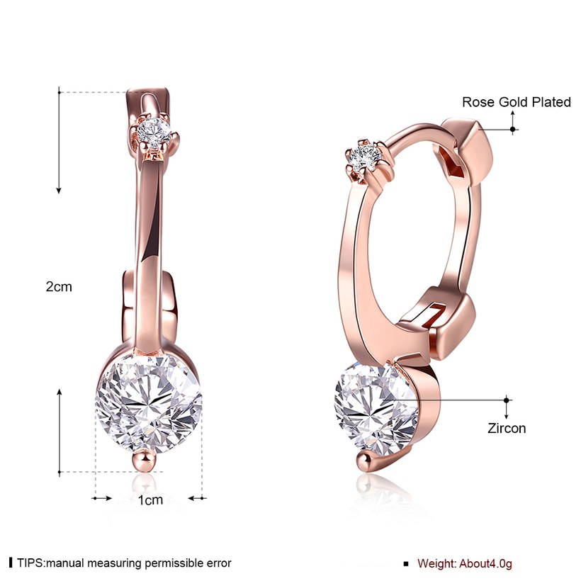 Wholesale Trendy Titanium Rose Gold Color white CZ Crystal Earrings for Wedding Women Girls OL Gift Drop Shipping TGCLE142 0