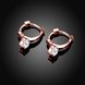 Wholesale Trendy Titanium Rose Gold Color white CZ Crystal Earrings for Wedding Women Girls OL Gift Drop Shipping TGCLE142 1 small