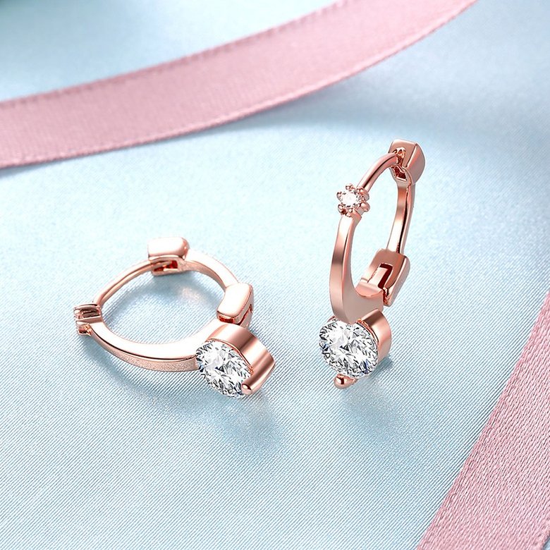 Wholesale Trendy Titanium Rose Gold Color white CZ Crystal Earrings for Wedding Women Girls OL Gift Drop Shipping TGCLE142 2