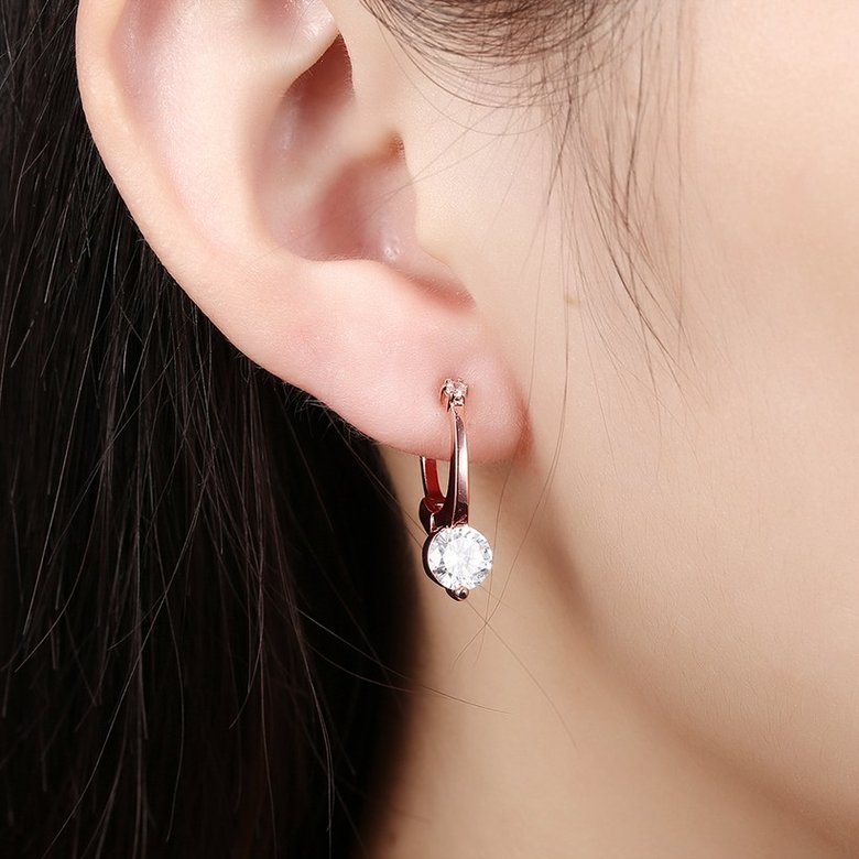 Wholesale Trendy Titanium Rose Gold Color white CZ Crystal Earrings for Wedding Women Girls OL Gift Drop Shipping TGCLE142 4