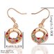 Wholesale hot sale Rose Gold Earrings Round colorful Zircon Hanging Dangle Earrings Drop Earring Fashion Wedding jewelry TGGPDE051 2 small