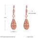 Wholesale New Unique Long Earrings Women Wedding Fine Cute Fine Jewelry Rose Gold Hollow Carving Vintage Tip Dangle Earrings TGGPDE059 0 small