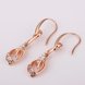 Wholesale Fashion jewelry China White Zircon Water Drop Earrings For Women Rose Gold Dangle Earrings Female Luxury Accessories TGGPDE101 3 small