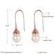 Wholesale Elegant Round Imitation Pearl Dangle Earrings rose gold Dazzling Women Engagement Wedding Graceful Accessories Fashion Earrings TGGPDE106 1 small