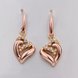 Wholesale Romantic Rose Gold Heart-Shaped AAA Zircon Earrings Charm Women Jewelry Fashion Wedding Party Gift TGGPDE111 0 small